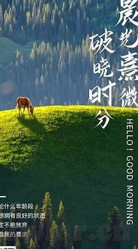 大象回家视频dx导航2022-大象回家，一场由DX导航引领的2022年温暖旅程