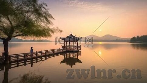 何苗果冻传媒视频合集-探索何苗果冻传媒视频合集的多元魅力
