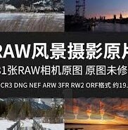 麻豆91传媒在线-麻豆91，探寻数字时代的传媒生态新视角