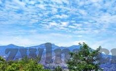 麻豆传媒直播官网-麻豆传媒直播，探究数字化时代的新兴传播现象