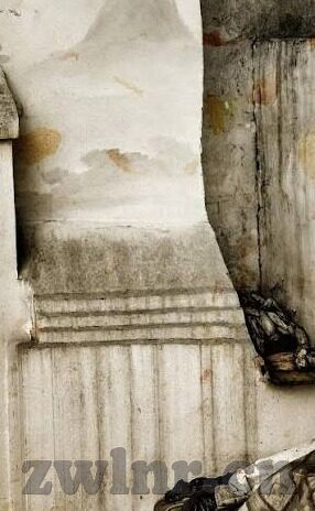 麻豆日b视频-麻豆日B视频的诞生与影响——网络内容的双重解析
