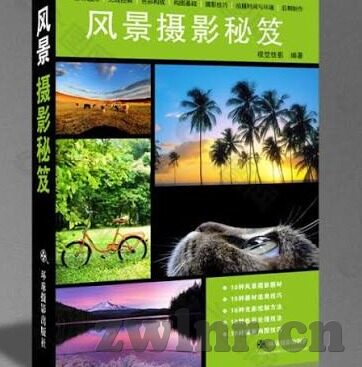 麻豆视频在线国产-麻豆视频在线国产，本土网络影像的多元呈现与文化共鸣