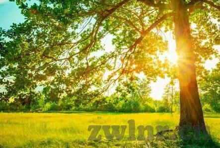麻豆影视文化传媒app最新版-麻豆影视，探索全新观影体验的领航者
