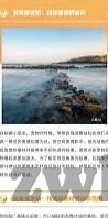 日韩电影av电影-电影艺术的多元视角，日韩电影与AV电影的差异与共通