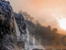 日韩萝莉av-探索日韩萝莉文化中的视觉艺术，一种文化现象的细腻描绘