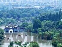 糖心app2021-探秘2021，糖心APP的跨界新概念与实践
