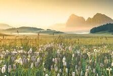 糖心app免费版下载-潮流科技新体验，探索糖心APP免费版的下载与疾风新世界