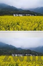 糖心小桃vlog无限看-甜伴生活之旅，糖心小桃Vlog的无限魅力