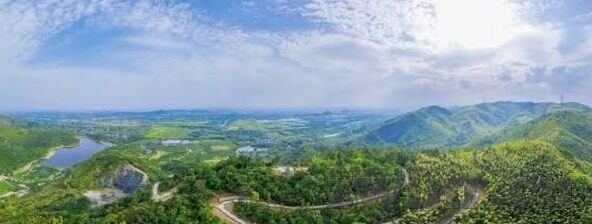糖心直播网站app-感受糖心直播，从在线平台到互动乐园的奇妙之旅